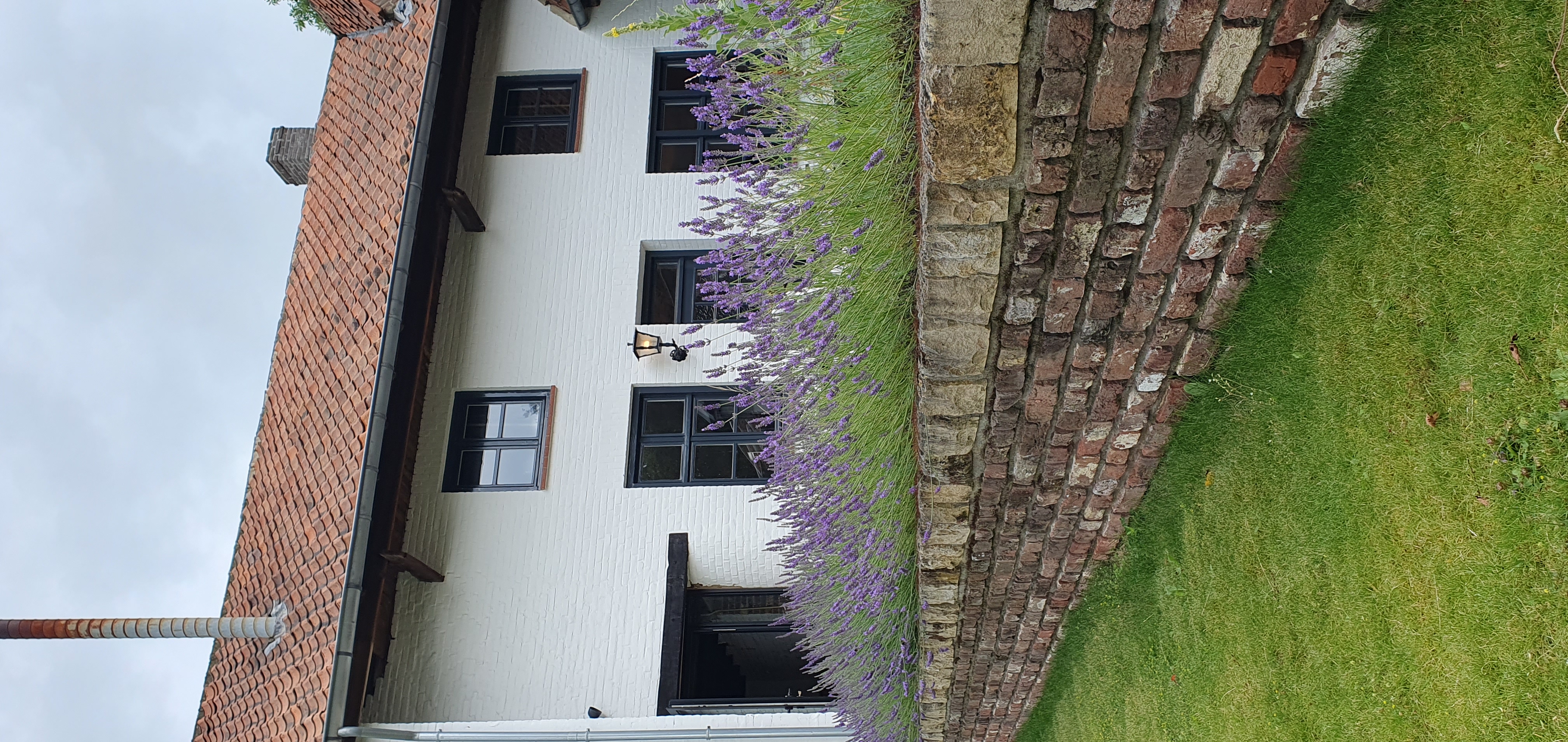 Binnenplaats met bakstenen tuinmuur en lavendel